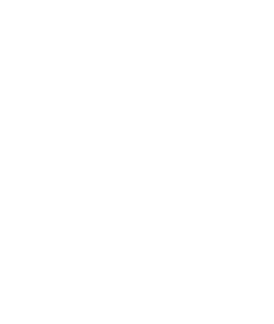 Metales