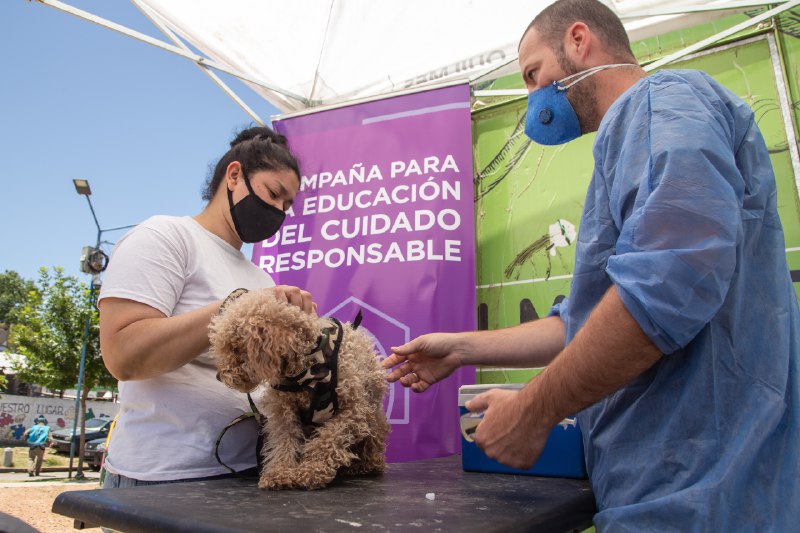 INTENSAS ACTIVIDADES DESARROLLADAS POR LA DIRECCIÓN DE ZOONOSIS DE QUILMES