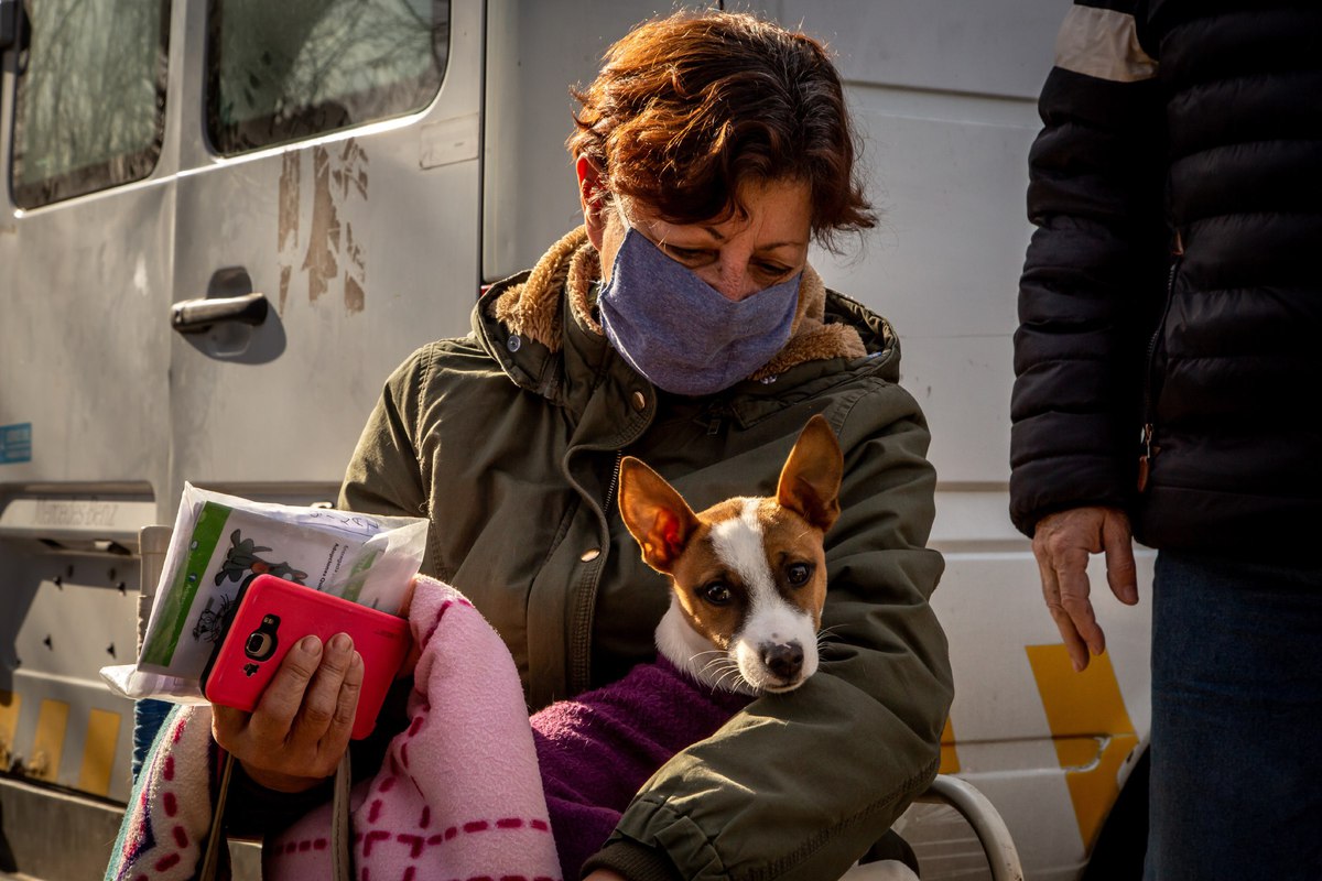  EL MUNICIPIO PROFUNDIZA LA POLÍTICA DE CASTRACIÓN DE PERROS Y GATOS