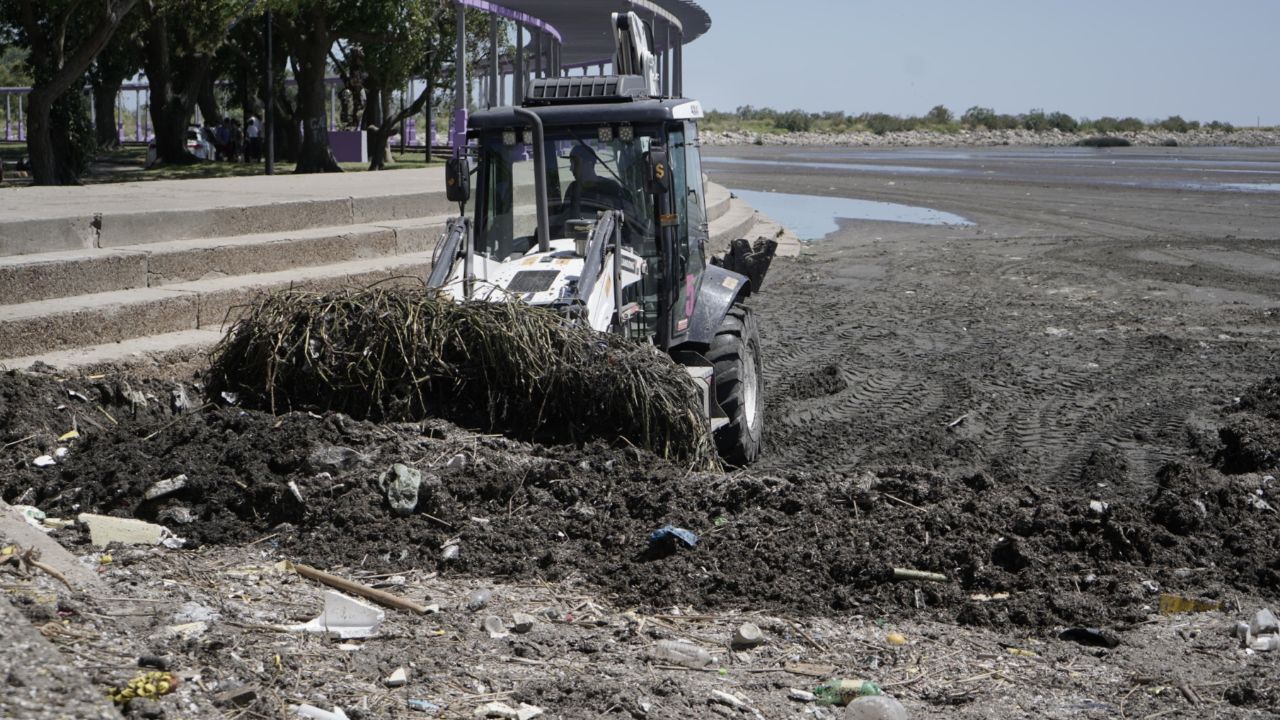 EXITOSA PRIMERA JORNADA DEL PROGRAMA PLAYAS LIMPIAS EN LA RIBERA DE QUILMES