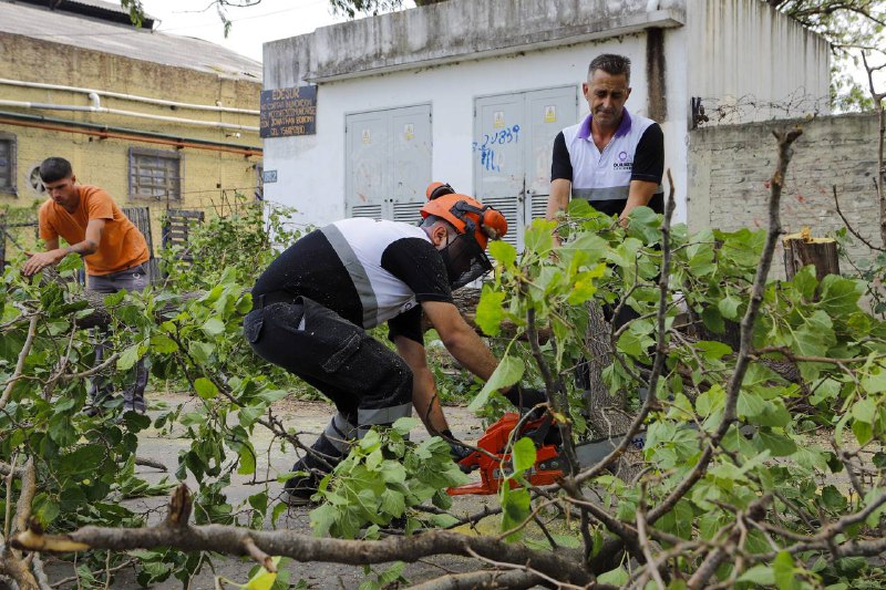 INTENSO TRABAJO DE LEVANTAMIENTO DE RAMAS Y TRONCOS EN TODOS LOS BARRIOS