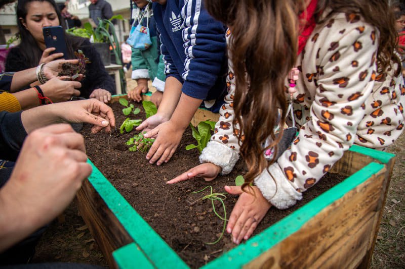 EL PROGRAMA “MI TIERRA, MI JARDÍN” EN EL JIM Nº 1 DE QUILMES OESTE