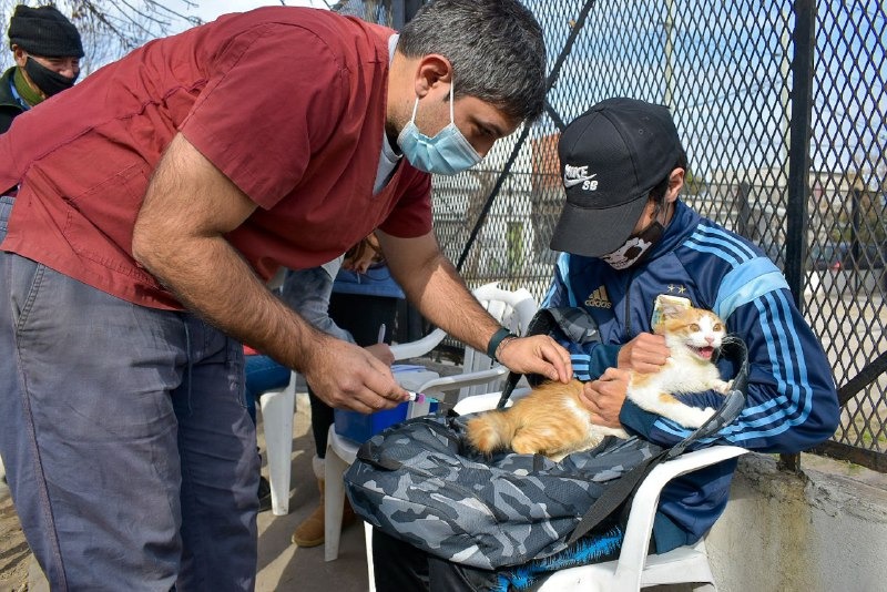 EL MUNICIPIO REALIZÓ UN NUEVO OPERATIVO DE ZOONOSIS EN EL CIC LA PAZ