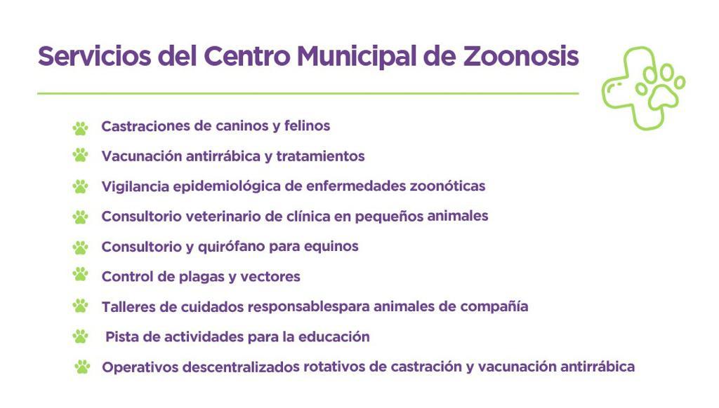 ZOONOSIS: RÉCORD MENSUAL EN CASTRACIONES DE PERROS Y GATOS