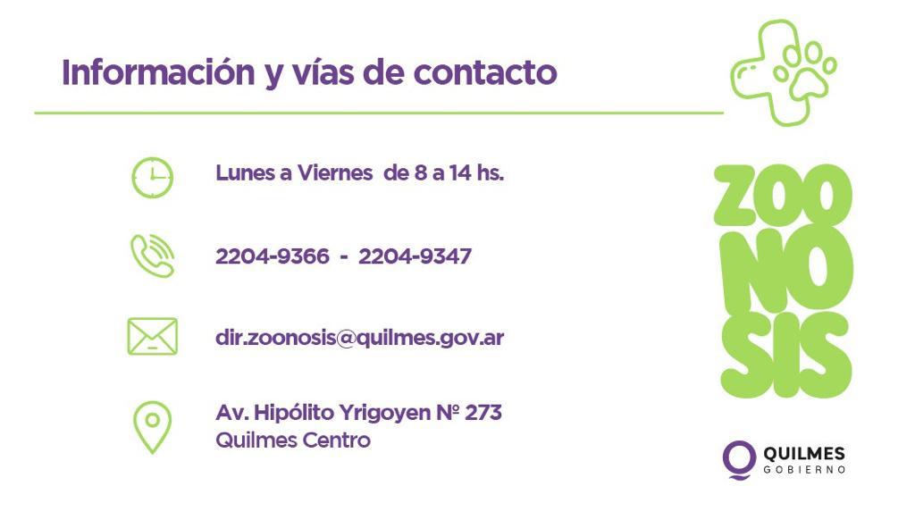 ZOONOSIS: RÉCORD MENSUAL EN CASTRACIONES DE PERROS Y GATOS
