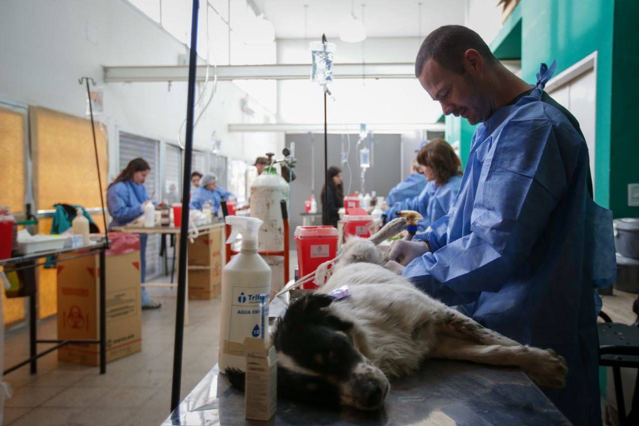 MAYRA RECORRIÓ LA JORNADA DE CASTRACIONES QUE REALIZÓ ZOONOSIS