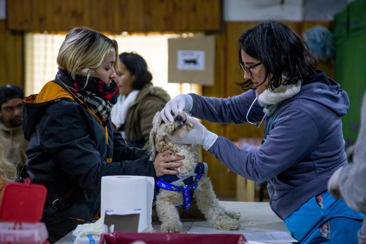 EL MUNICIPIO REALIZÓ UN MEGAOPERATIVO DE CASTRACIÓN Y VACUNACIÓN 
