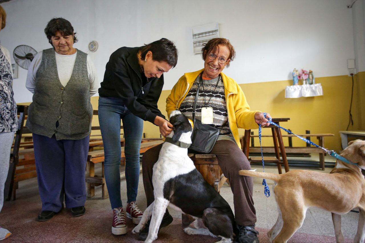 MAYRA PARTICIPÓ DE UN OPERATIVO DE CASTRACIÓN Y VACUNACIÓN DE ANIMALES