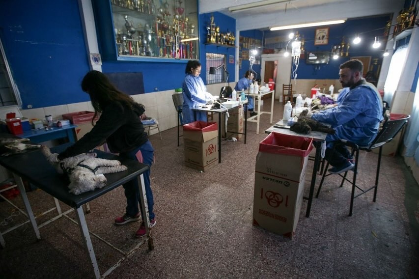 MAYRA EN UN NUEVO MEGAOPERATIVO DE CASTRACIÓN Y VACUNACIÓN DE ANIMALES 