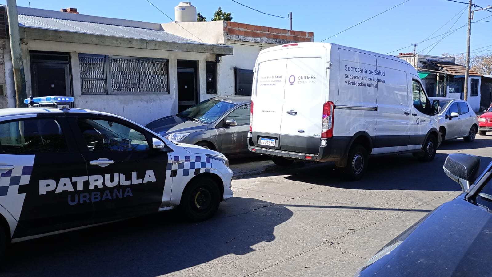 EL MUNICIPIO Y LA POLICÍA LOGRARON RESCATAR A MÁS DE 40 PERROS MALTRATADOS 