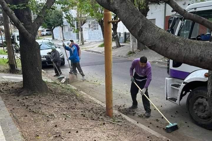 EL MUNICIPIO INTENSIFICÓ TAREAS PREVENTIVAS DE DESOBSTRUCCIÓN Y LIMPIEZA