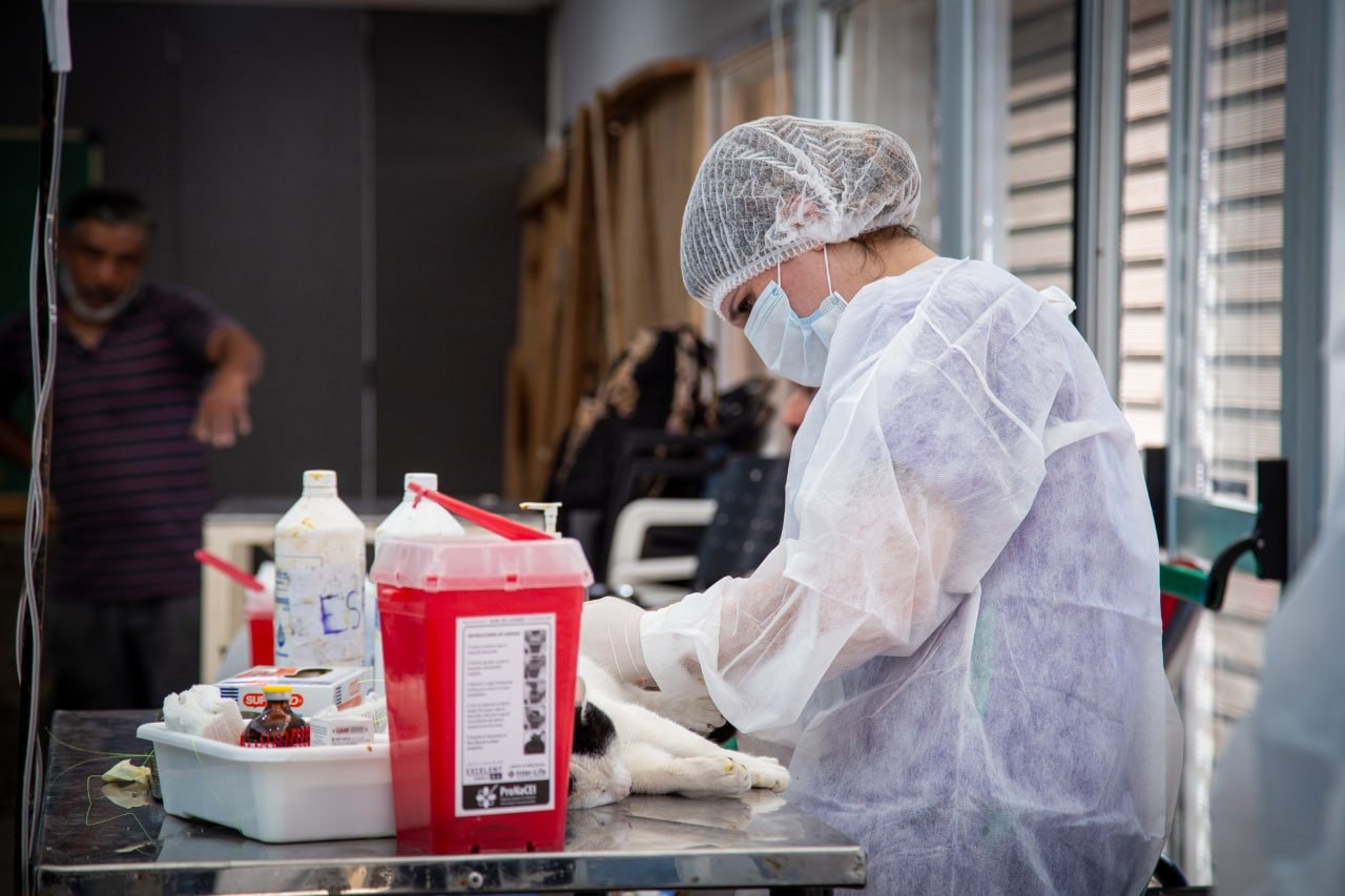 200 ANIMALES ATENDIDOS EN UN NUEVO MEGAOPERATIVO DE ZOONOSIS 