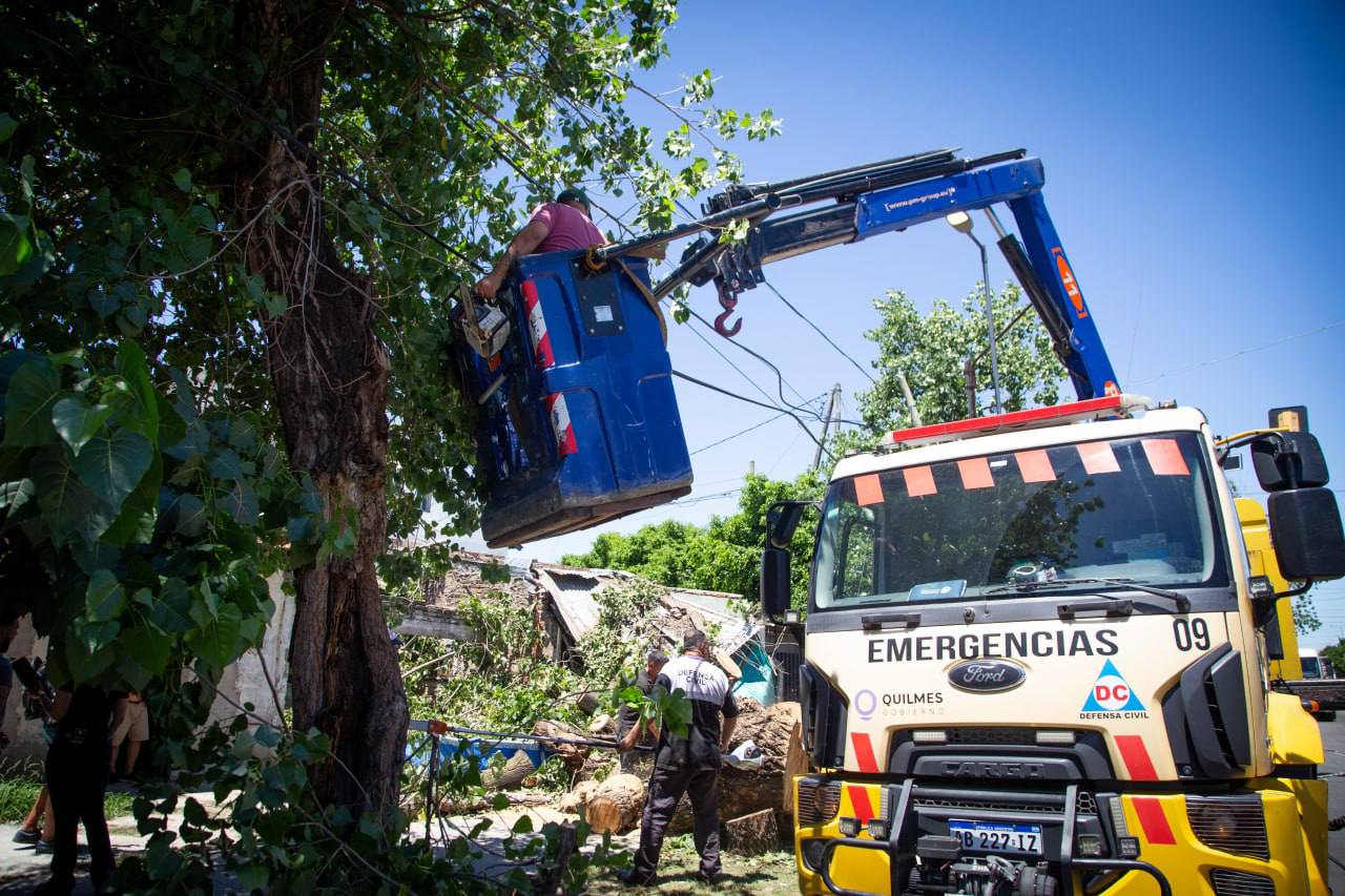 INTENSO OPERATIVO DE LIMPIEZA Y LEVANTAMIENTO DE ÁRBOLES TRAS EL TEMPORAL