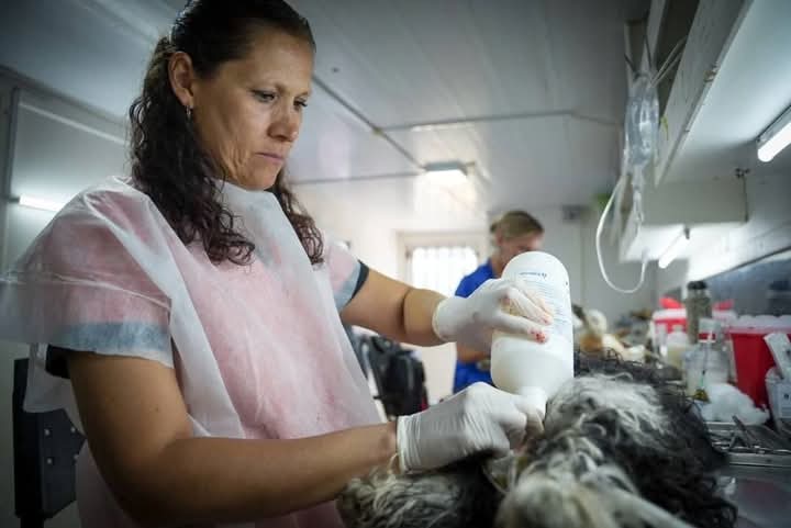 MAYRA RECORRIÓ UN NUEVO OPERATIVO DE ZOONOSIS