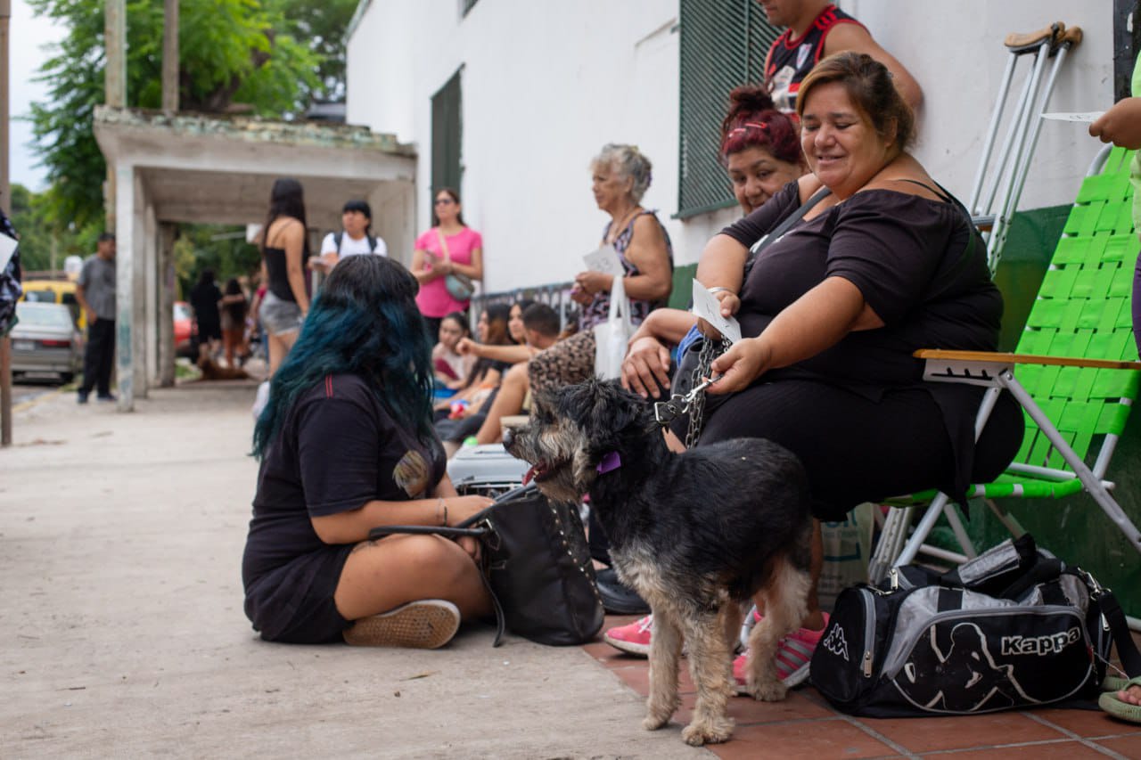 INTENSO OPERATIVO DE ZOONOSIS CON CASTRACIONES Y VACUNACIÓN ANTIRRÁBICA
